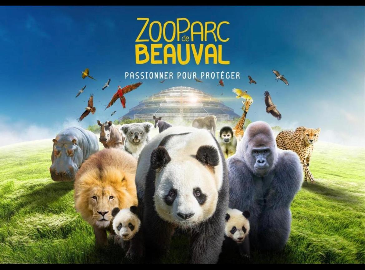 Gite Souai Et Zen , 5 Mn Du Zooparc De Beauval Сент-Эньян Экстерьер фото